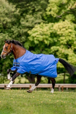 Horseware Amigo Hero Ripstop Regendecke, 0g -Reitsportbedarf Verkäufe 2024 306261 B DB G 01