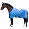 Horseware Amigo Hero 900 Regendecke, 50g -Reitsportbedarf Verkäufe 2024 306288 CNB GMG 1