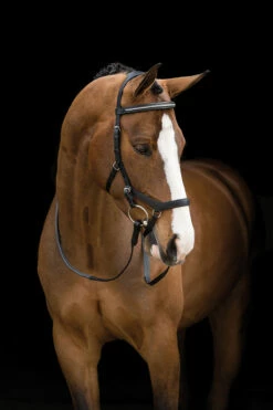 Horseware Rambo Micklem Diamante Competition Trensenzaum -Reitsportbedarf Verkäufe 2024 307484 BL 2