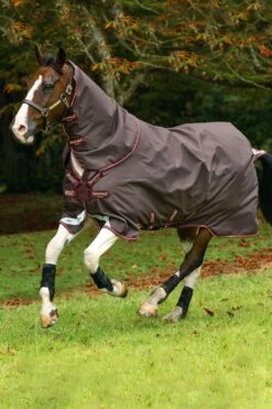 Horseware Amigo Halsteil, 0g -Reitsportbedarf Verkäufe 2024 307509 BR RE GO 2