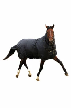 Horseware Trot Plus Winterdecke Mit Abnehmbarem Halsteil, 350g