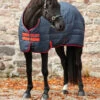 Horseware Mio Insulator Stalldecke Med Double, 150g 1 Horseware Mio Insulator Stalldecke Med Double, 150g -Reitsportbedarf Verkäufe 2024 307551 DB RE RE 1