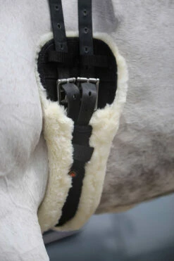 Kentucky Horsewear Lammfell Kurzgurt -Reitsportbedarf Verkäufe 2024 307787 BL 9