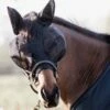 Kentucky Horsewear Fliegenmaske Slim Fit -Reitsportbedarf Verkäufe 2024 312999 BL 1