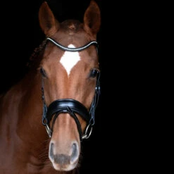 Schockemöhle Stanford Anatomische Trense -Reitsportbedarf Verkäufe 2024 313787 BL SI 3