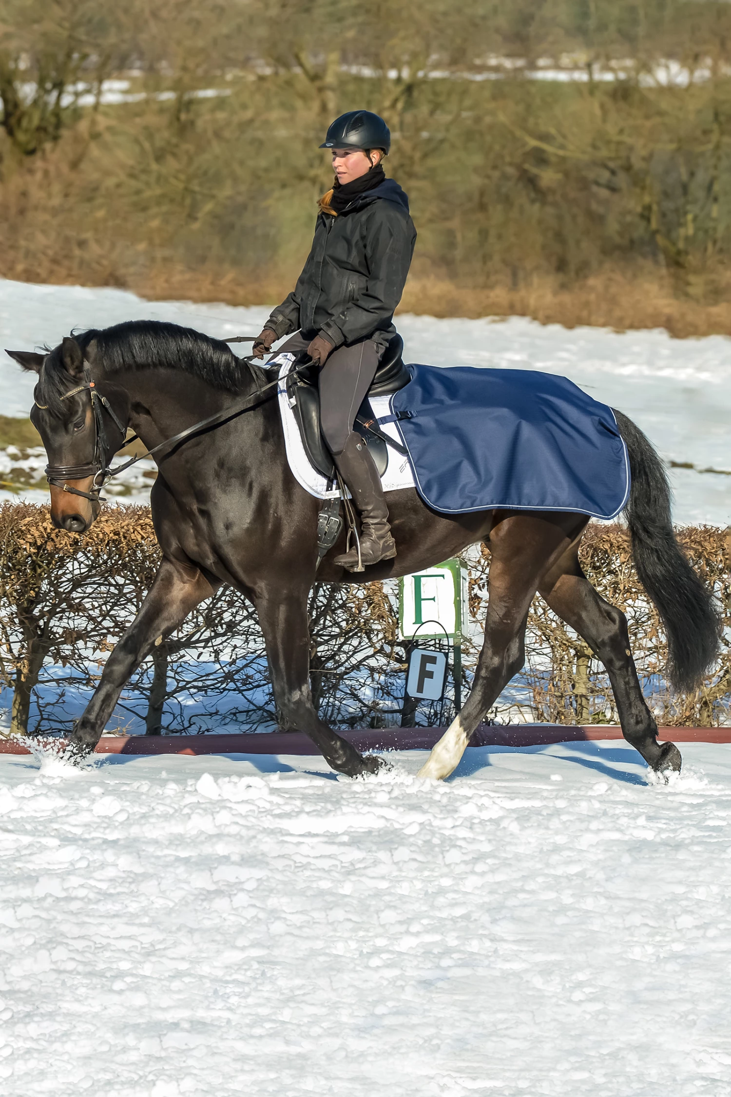 Bucas Ausreitdecke 3 Bucas Ausreitdecke