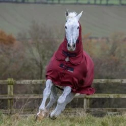 Bucas Freedom Turnout Light Fullneck Pony Regendecke Mit Festem Halsteil 13 Bucas Freedom Turnout Light Fullneck Pony Regendecke Mit Festem Halsteil -Reitsportbedarf Verkäufe 2024 316869 CRE 2