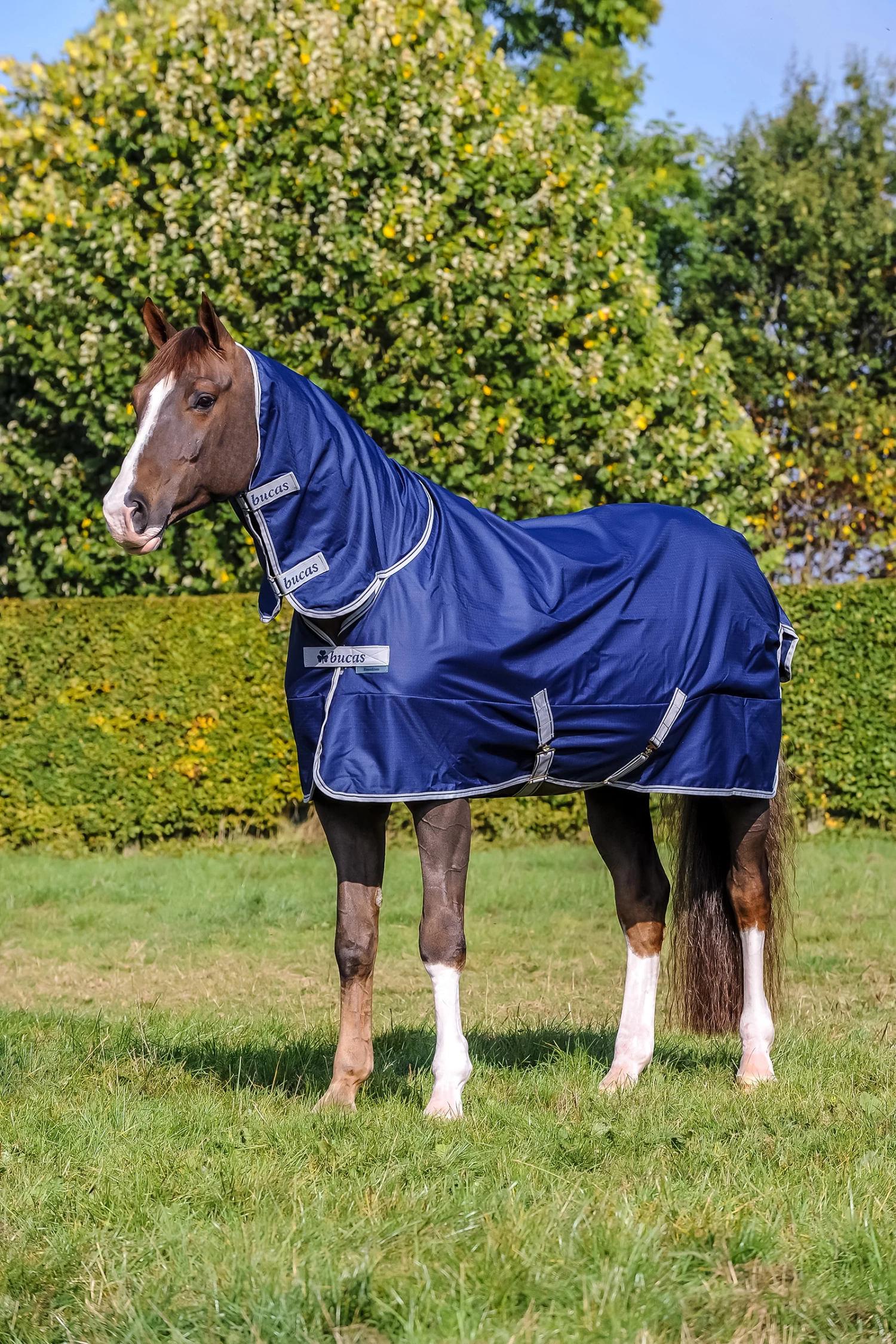 Bucas Freedom Turnout Light Fullneck Pony Regendecke Mit Festem Halsteil 3 Bucas Freedom Turnout Light Fullneck Pony Regendecke Mit Festem Halsteil