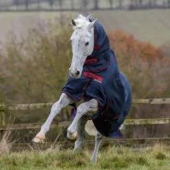 Bucas Freedom Turnout Light Fullneck Pony Regendecke Mit Festem Halsteil 15 Bucas Freedom Turnout Light Fullneck Pony Regendecke Mit Festem Halsteil -Reitsportbedarf Verkäufe 2024 316869 GDG 2