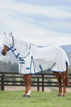 Weatherbeeta Comfitec Essential Mesh Maske -Reitsportbedarf Verkäufe 2024 317416 WH DB GR 2