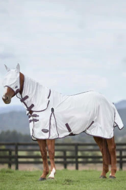 Weatherbeeta Comfitec Essential Mesh Maske -Reitsportbedarf Verkäufe 2024 317416 WH DRE 2