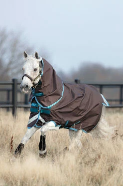 Horseware Amigo Bravo 12 Pony Weidedecke Inkl. Abnehmbarem Halsteil, 0g -Reitsportbedarf Verkäufe 2024 320362 DG B 2