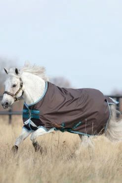 Horseware Amigo Bravo 12 Pony Weidedecke Inkl. Abnehmbarem Halsteil, 0g -Reitsportbedarf Verkäufe 2024 320362 DG B 3