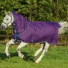 Horseware Amigo Bravo 12 Pony Weidedecke Inkl. Abnehmbarem Halsteil, 0g 2 Horseware Amigo Bravo 12 Pony Weidedecke Inkl. Abnehmbarem Halsteil, 0g -Reitsportbedarf Verkäufe 2024 320362 PU DB AB 1