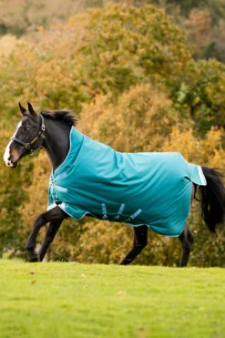 Horseware Amigo Bravo 12 Regendecke Mit Hohem Hals, 0g -Reitsportbedarf Verkäufe 2024 320364 STGR 01