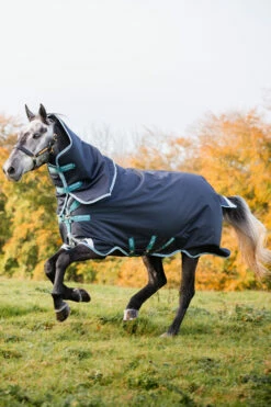 Horseware Amigo Bravo 12 Plus Winterdecke Mit Abnehmbarem Halsteil, 250g -Reitsportbedarf Verkäufe 2024 320370 DB AB 1