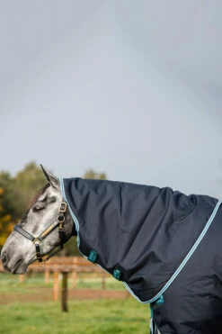 Horseware Amigo Bravo 12 Plus Winterdecke Mit Abnehmbarem Halsteil, 250g -Reitsportbedarf Verkäufe 2024 320370 DB AB 4