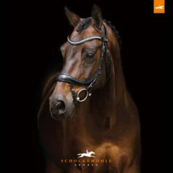 Schockemöhle Equitus Beta Anatomische Spezialtrense -Reitsportbedarf Verkäufe 2024 322313 BL SI 3