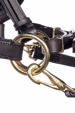 F.R.A. Pariba Sidepull (System 3) Mit Geflochtenem Nasenriemen, Inkl. Zügel -Reitsportbedarf Verkäufe 2024 322922 BR BRS 2