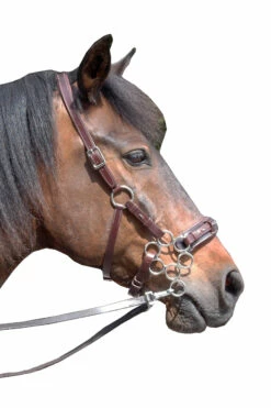 FRA Aram Hackamore (System 2) Leather, Jaw Straps, W/ Scissors -Reitsportbedarf Verkäufe 2024 322944 DBR 1
