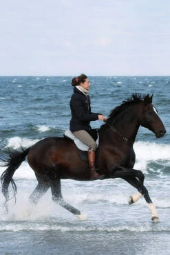 FRA Macon Extra Lammfell Reitkissen Mit Pauschen, S -Reitsportbedarf Verkäufe 2024 322957 BL G 2