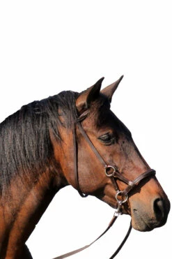 FRA Pardoes Sidepull (System 3) Leder Mit Anti Slip Zügeln -Reitsportbedarf Verkäufe 2024 322960 BR 2