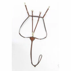 Kavalkade Vorderzeug Lorenz, W 12 Kavalkade Vorderzeug Lorenz, W -Reitsportbedarf Verkäufe 2024 325209 CLBR 1