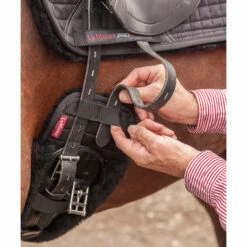 Dressurgurt-Überzug -Reitsportbedarf Verkäufe 2024 326245 BL 2