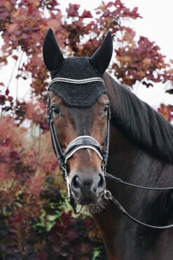 Kentucky Horsewear Wellington Sparkling Fliegenhaube 11 Kentucky Horsewear Wellington Sparkling Fliegenhaube -Reitsportbedarf Verkäufe 2024 326842 BL 3