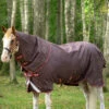 Horseware Amigo Bravo 12 Plus Regendecke Mit Abnehmbarem Halsteil, 100g -Reitsportbedarf Verkäufe 2024 326984 BR RE GO 1