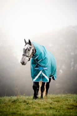 Horseware Amigo Bravo 12 Plus Regendecke Mit Abnehmbarem Halsteil, 100g -Reitsportbedarf Verkäufe 2024 326984 STGR 2