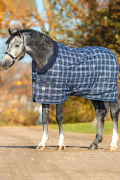 Horseware Rhino Original Vari-Layer Stalldecke, 250g -Reitsportbedarf Verkäufe 2024 327016 MDB IDB 1