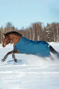 Horseware Rhino Original Vari-Layer Winterdecke, 250g -Reitsportbedarf Verkäufe 2024 327018 DB G AB 1