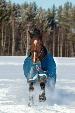 Horseware Rhino Original Vari-Layer Winterdecke, 250g -Reitsportbedarf Verkäufe 2024 327018 DB G AB 2
