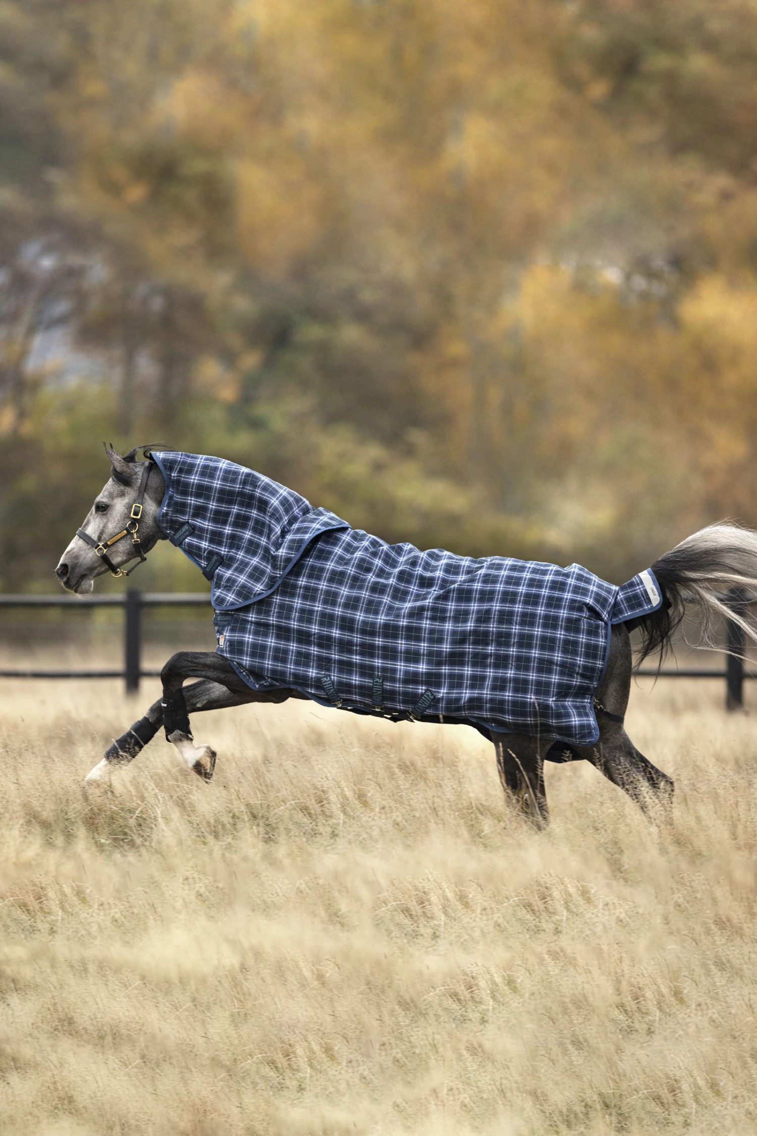 Horseware Rhino Plus Vari-Layer Winterdecke Mit Abnehmbarem Halsteil, 250g 7 Horseware Rhino Plus Vari-Layer Winterdecke Mit Abnehmbarem Halsteil, 250g – Bild 5