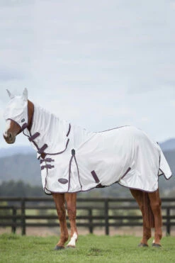 Weatherbeeta Comfitec Essential Mesh II Fliegendecke Mit Festem Halsteil -Reitsportbedarf Verkäufe 2024 329554 WH DRE 1