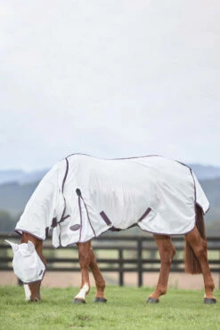 Weatherbeeta Comfitec Essential Mesh II Fliegendecke Mit Festem Halsteil -Reitsportbedarf Verkäufe 2024 329554 WH DRE 2