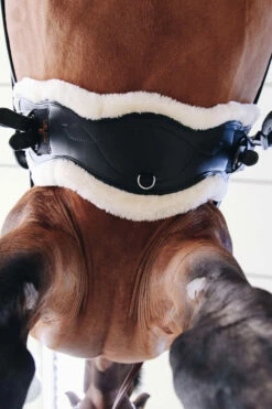 Kentucky Horsewear Lederkurzgurt Sheepskin Dressage -Reitsportbedarf Verkäufe 2024 329961 BL 5