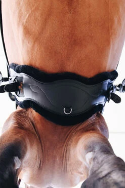 Kentucky Horsewear Lederkurzgurt Sheepskin Dressage -Reitsportbedarf Verkäufe 2024 329961 BL 6