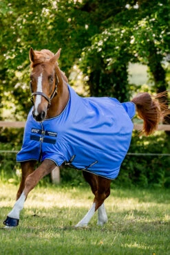 Horseware Amigo Hero Ripstop Regendecke, 50g -Reitsportbedarf Verkäufe 2024 331254 B DB G 01