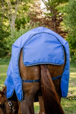 Horseware Amigo Hero Ripstop Regendecke, 50g -Reitsportbedarf Verkäufe 2024 331254 B DB G 04