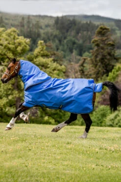 Horseware Amigo Hero Ripstop Plus Regendecke Mit Abnehmbarem Halsteil, 100g -Reitsportbedarf Verkäufe 2024 331255 B DB G 01