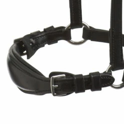 Schockemöhle Seattle Reithalfter -Reitsportbedarf Verkäufe 2024 331413 BL SI 2