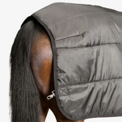 Back On Track Felix Unterdecke, 200g -Reitsportbedarf Verkäufe 2024 331622 BL 4