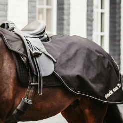 Back On Track Sammy Ausreitdecke, 50g -Reitsportbedarf Verkäufe 2024 331628 BL 4