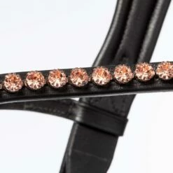 Kavalkade Trense Rose -Reitsportbedarf Verkäufe 2024 332392 BL 4