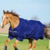 Horseware Amigo Hero 900 T/O Med Winterdecke, 200g -Reitsportbedarf Verkäufe 2024 332736 AB IWH 1