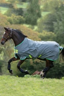 Horseware Amigo Hero 900 T/O Med Winterdecke, 200g -Reitsportbedarf Verkäufe 2024 332736 G GR LLGR 1