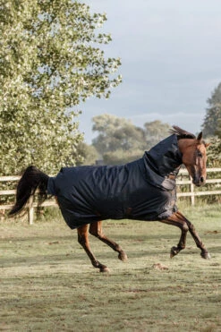 Kentucky Horsewear All Weather Waterproof Classic Regendecke, 0g 7 Kentucky Horsewear All Weather Waterproof Classic Regendecke, 0g -Reitsportbedarf Verkäufe 2024 332981 DB 3