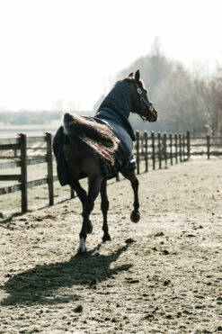 Kentucky Horsewear All Weather Waterproof Classic Regendecke, 50g -Reitsportbedarf Verkäufe 2024 332982 DB 3